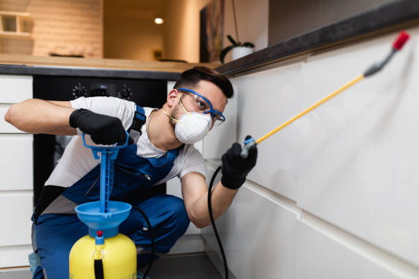 Best Emergency Pest Control  in Nesquehoning, PA