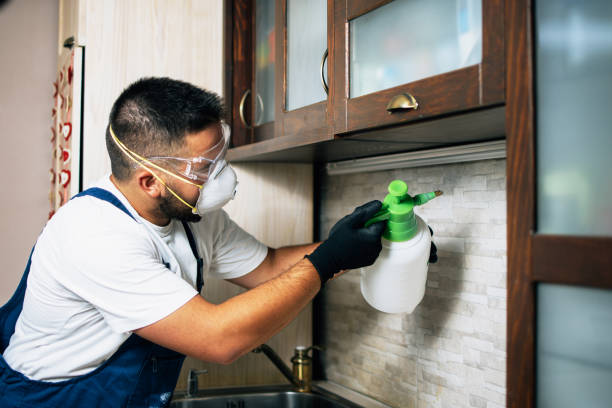 Best Residential Pest Control  in Nesquehoning, PA