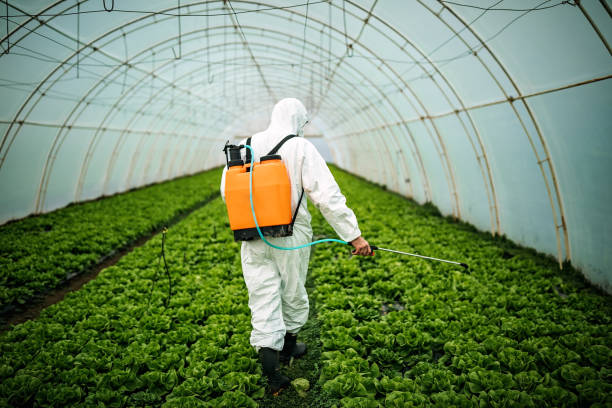 Best Mosquito Control Services  in Nesquehoning, PA