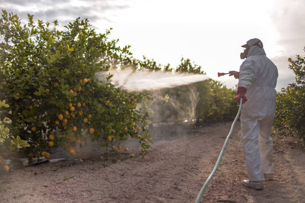 Best Exterminator Services  in Nesquehoning, PA