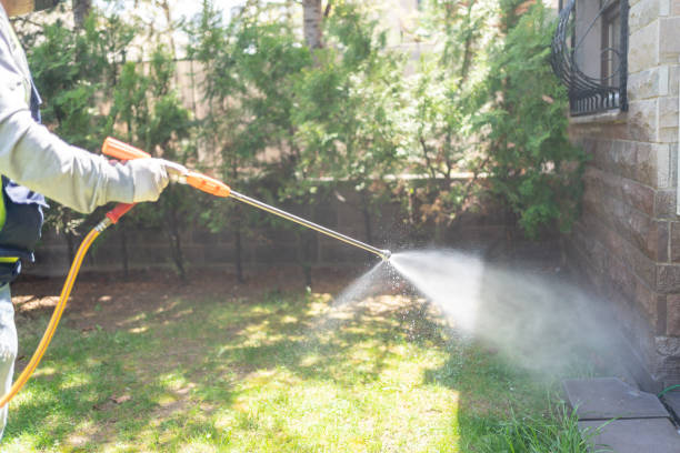Best Mosquito Control Services  in Nesquehoning, PA