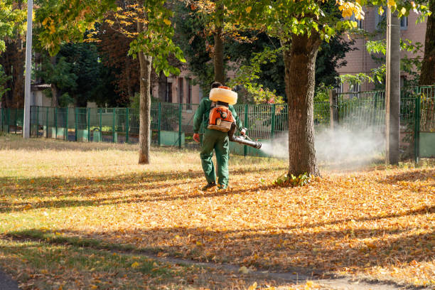 Best Affordable Pest Control Services  in Nesquehoning, PA