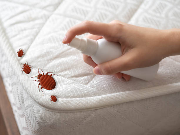 Best Pest Prevention Services  in Nesquehoning, PA
