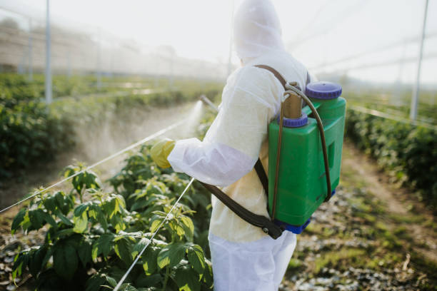 Best Flea Control Services  in Nesquehoning, PA